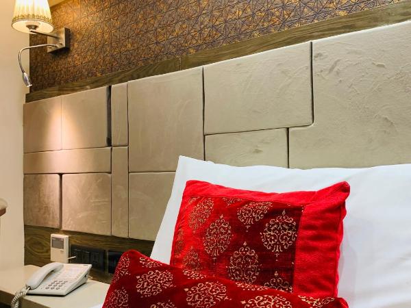 THE SINGH EMPIRE, New Delhi : photo 1 de la chambre premier suite with free airport pickup