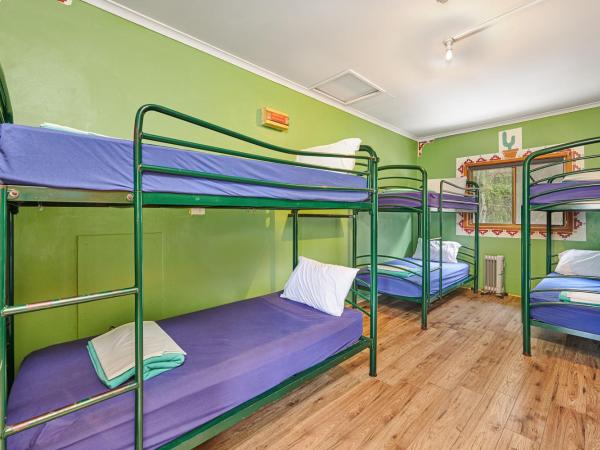 Arts Factory by Nomads : photo 2 de la chambre lit dans dortoir pour femmes de 6 lits