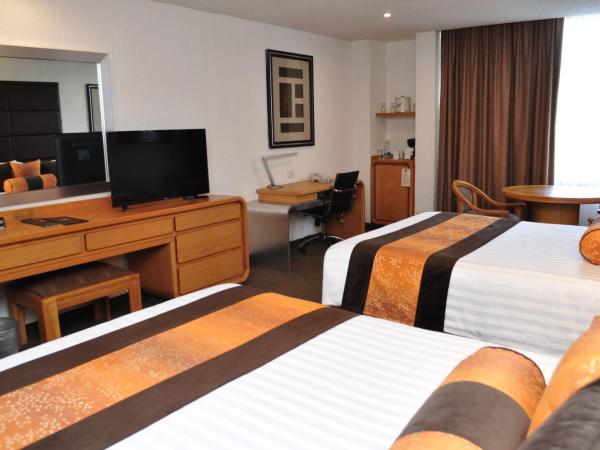 Royal Pedregal : photo 2 de la chambre chambre avec 2 grands lits queen-size