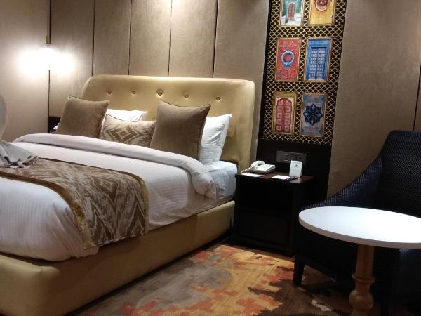 Park Plaza Jodhpur : photo 8 de la chambre chambre deluxe double ou lits jumeaux