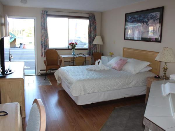 Ritz Inn Niagara : photo 3 de la chambre suite lune de miel avec baignoire spa et cheminée