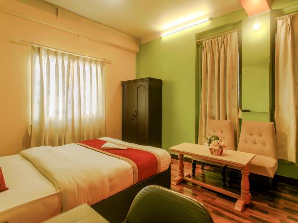 Hotel Nepalaya : photo 3 de la chambre standard double room with 24 hour check-in