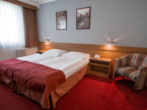 Hotel Globus : photo 4 de la chambre chambre double standard - utilisation de jour