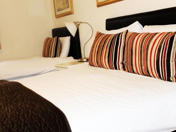 Roseview Alexandra Palace Hotel : photo 4 de la chambre chambre lits jumeaux spacieuse