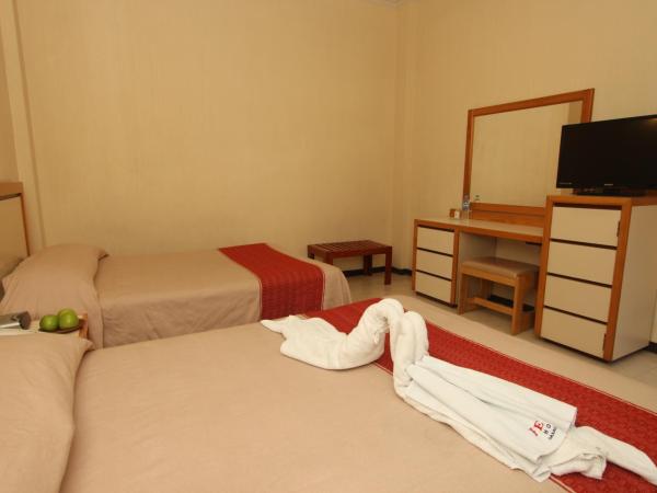 HOTEL FERRI : photo 4 de la chambre chambre lits jumeaux