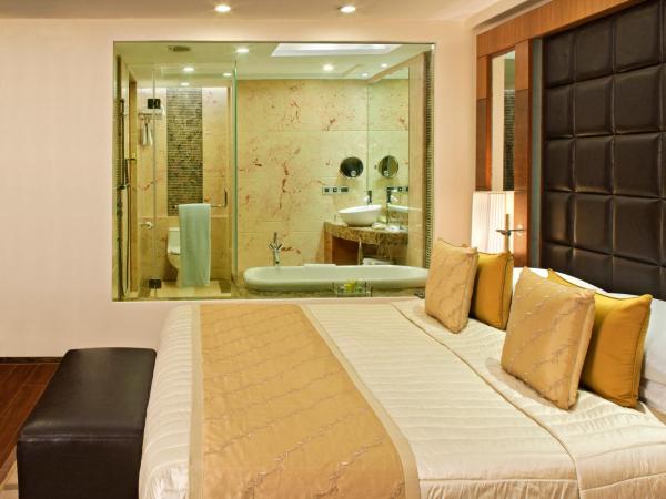 Radisson Blu Plaza Delhi Airport : photo 8 de la chambre business class with happy hours 03:00 pm to 06:00 pm ,1+1 & airport transfers and free pick up and drop to worldmark aerocity (subject to car availability)