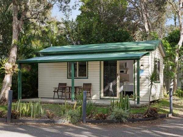 Discovery Parks - Byron Bay : photo 1 de la chambre economy studio cabin - sleeps 2