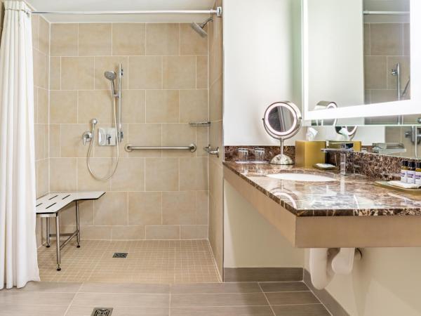 Hyatt Regency Jacksonville Riverfront : photo 3 de la chambre chambre lit king-size pour personnes à mobilité réduite avec douche accessible aux personnes à mobilité réduite