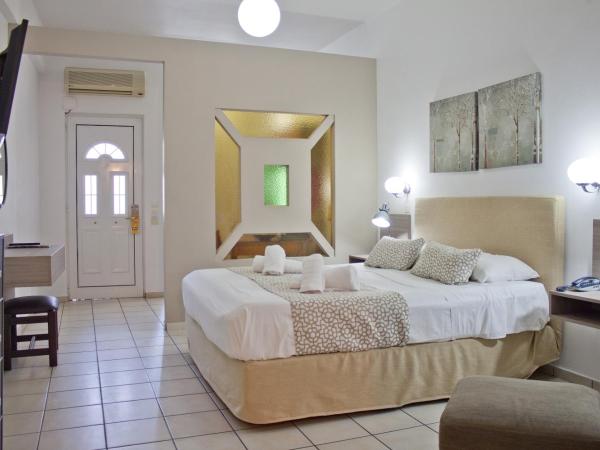 Hotel Christina : photo 8 de la chambre studio - vue sur piscine