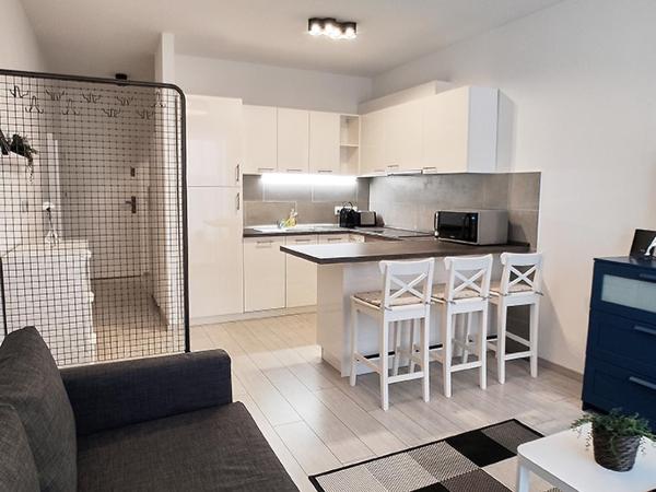 Piacsek Apartmanház : photo 5 de la chambre studio