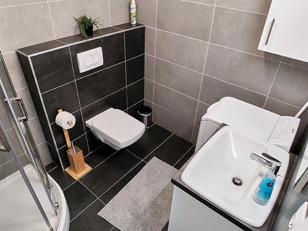 Piacsek Apartmanház : photo 8 de la chambre appartement 1 chambre