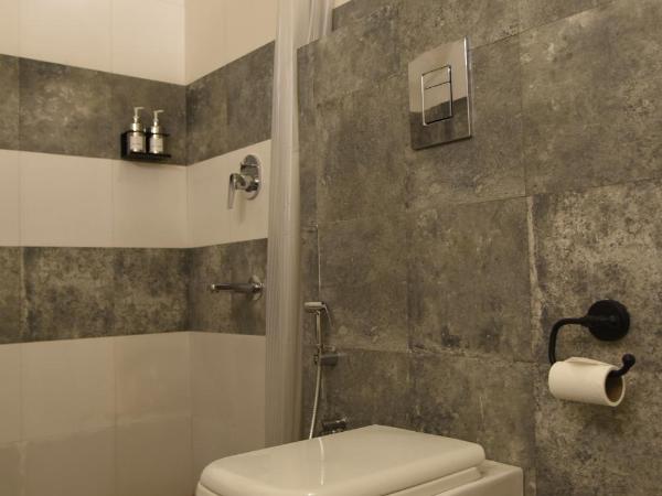 Baijoo Niwas : photo 5 de la chambre suite junior