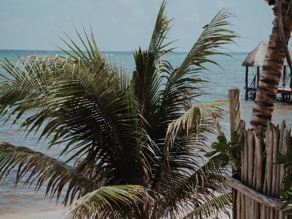 Cielo Maya Beach Tulum : photo 1 de la chambre hébergement junior de luxe - vue sur mer