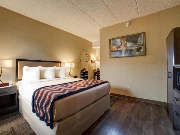 Carlton Inn Midway : photo 2 de la chambre chambre standard lit queen-size