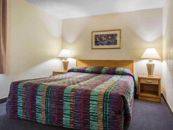 Rodeway Inn & Suites : photo 1 de la chambre suite lit king-size – non-fumeurs