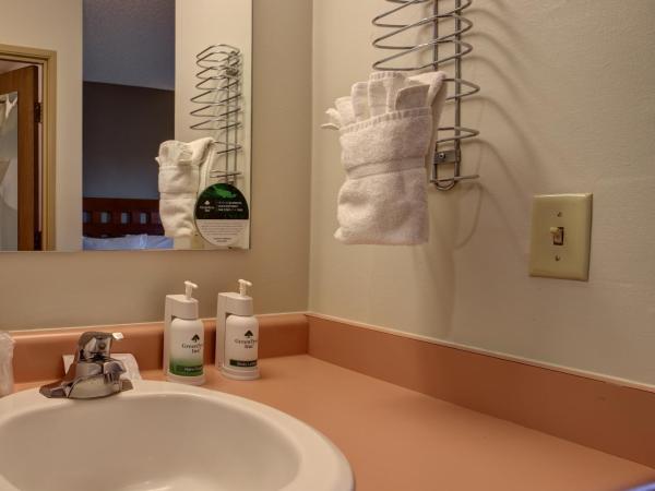 GreenTree Inn Albuquerque North I-25 : photo 2 de la chambre chambre lit king-size