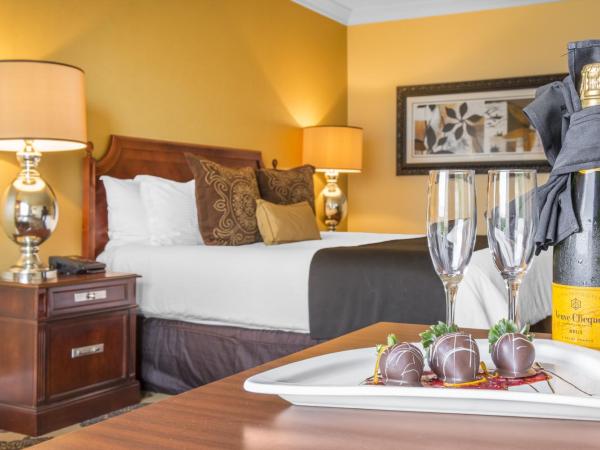 Omni Houston Hotel : photo 4 de la chambre premier signature pool view - 1 king bed