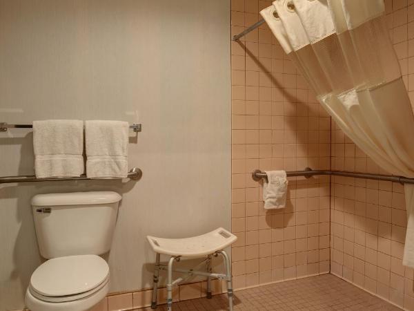 GreenTree Inn Albuquerque North I-25 : photo 4 de la chambre chambre lit king-size - accessible aux personnes à mobilité réduite