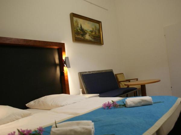 Hotel Garni Aaberna : photo 4 de la chambre chambre double avec douche