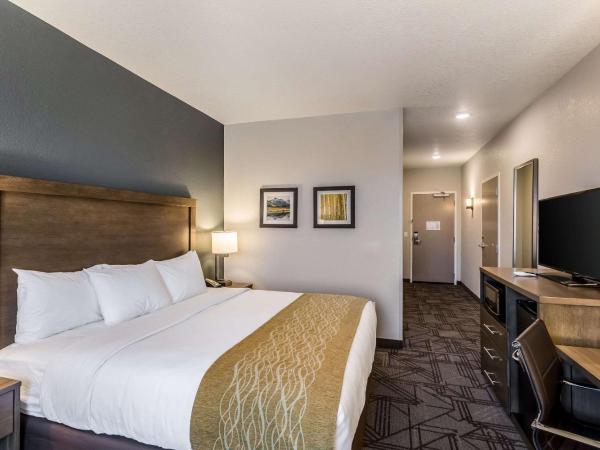 Comfort Inn & Suites Salt Lake City Airport : photo 3 de la chambre chambre lit king-size - non-fumeurs