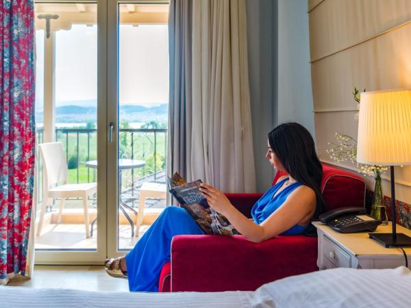 Anemolia Resort and Spa : photo 9 de la chambre chambre double standard avec accès spa