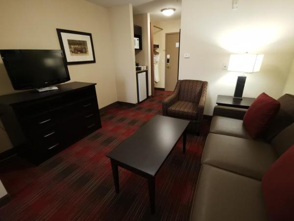 Best Western Plus Red Deer Inn & Suite : photo 7 de la chambre chambre lit king-size avec canapé-lit