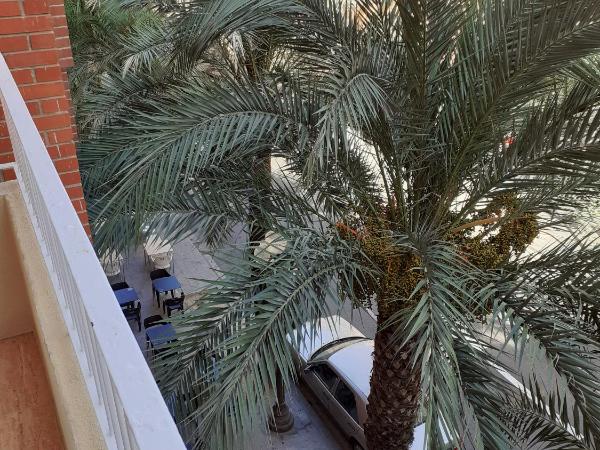 Pension Arena Alicante : photo 6 de la chambre chambre double