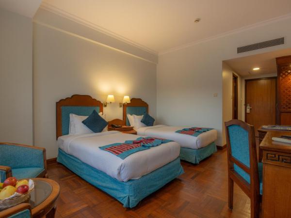 Hotel Le Himalaya by Best Resort Nepal : photo 8 de la chambre deluxe room - free airport pickup