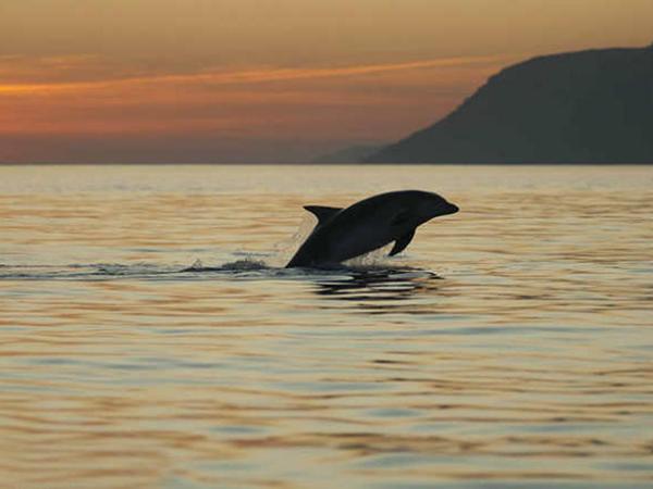 wonderful place : photo 2 de la chambre chambre double deluxe