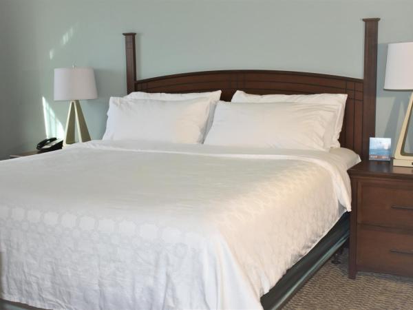 Staybridge Suites Albuquerque North, an IHG Hotel : photo 3 de la chambre suite 1 chambre lit king-size