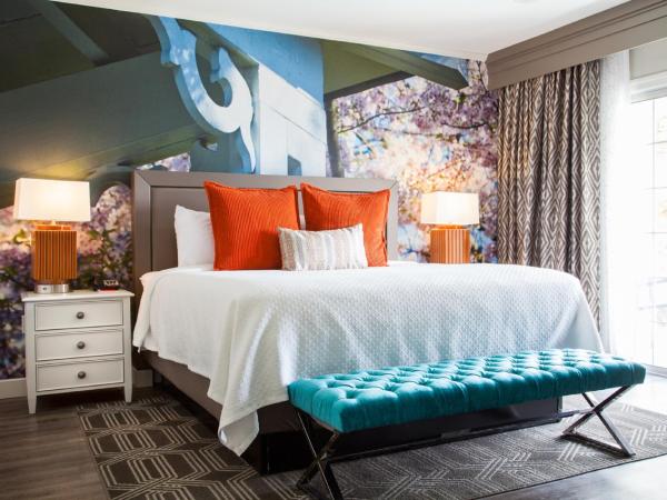 Hotel Indigo Atlanta Vinings, an IHG Hotel : photo 6 de la chambre suite lit king-size – non-fumeurs