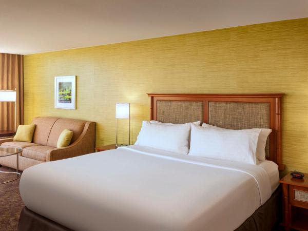 Holiday Inn Austin -Town Lake, an IHG Hotel : photo 3 de la chambre hébergement lit king-size standard