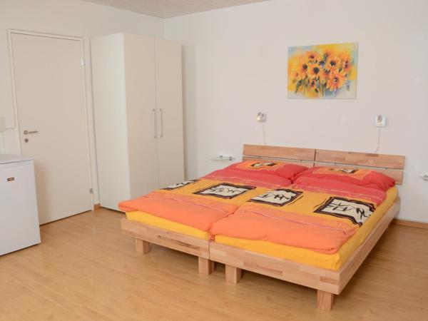 Guesthouse Casa Esperanza Basel : photo 1 de la chambre studio avec kitchenette et salle de bains commune