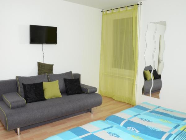 Guesthouse Casa Esperanza Basel : photo 9 de la chambre appartement 2 chambres avec balcon
