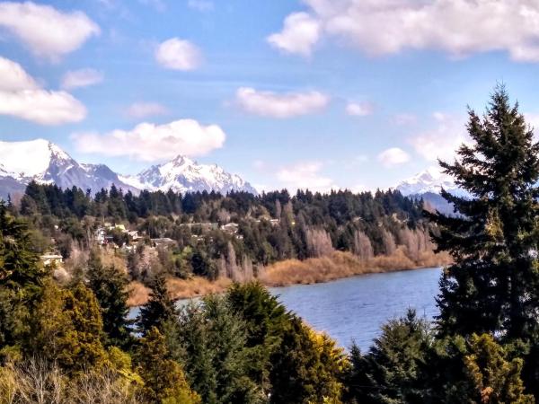 Solar de las Araucarias : photo 6 de la chambre appartement deluxe