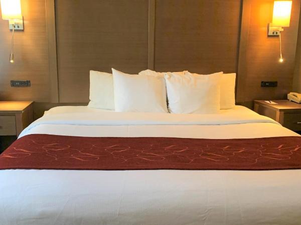 Comfort Suites Bush Intercontinental Airport : photo 1 de la chambre suite lit king-size