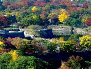 Hotel New Otani Osaka : photo 8 de la chambre room #17758860