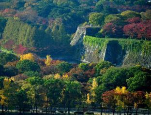 Hotel New Otani Osaka : photo 9 de la chambre room #17758862