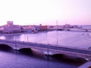 Niigata Grand Hotel : photo 9 de la chambre room #203593220