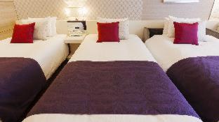 Hotel Elsereine Osaka : photo 6 de la chambre room #37780423