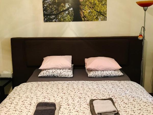 Apartmán Stursovka : photo 3 de la chambre chambre double standard