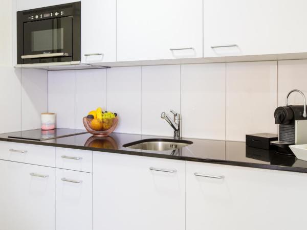 Apartmenthaus zum Trillen Basel City Center : photo 1 de la chambre appartement simple plus