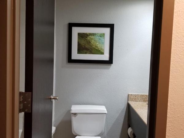 Wyndham Garden Hotel - Jacksonville : photo 3 de la chambre chambre de luxe avec 2 lits doubles