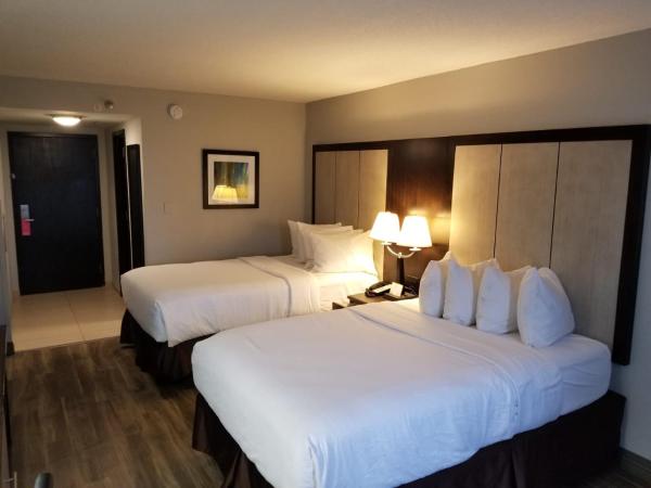 Wyndham Garden Hotel - Jacksonville : photo 3 de la chambre chambre de luxe avec 2 lits doubles