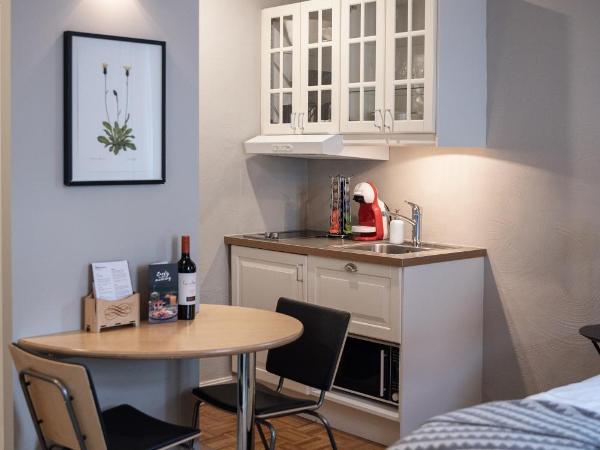 Reykjavik Residence Apartment Hotel : photo 2 de la chambre studio Économique