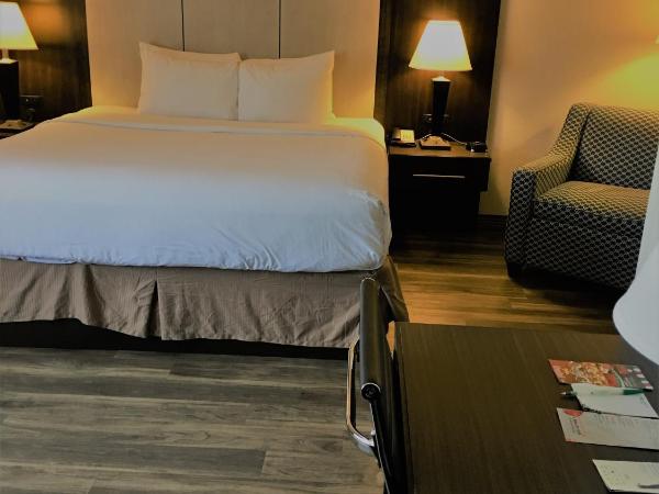 Wyndham Garden Hotel - Jacksonville : photo 3 de la chambre chambre lit king-size supérieure