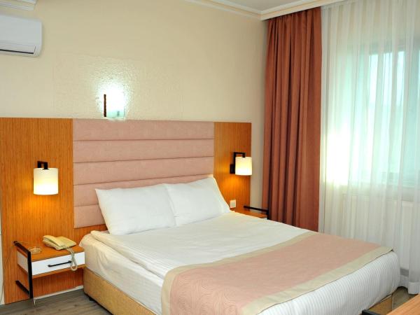 Lion City Hotel Ankara : photo 6 de la chambre chambre simple standard