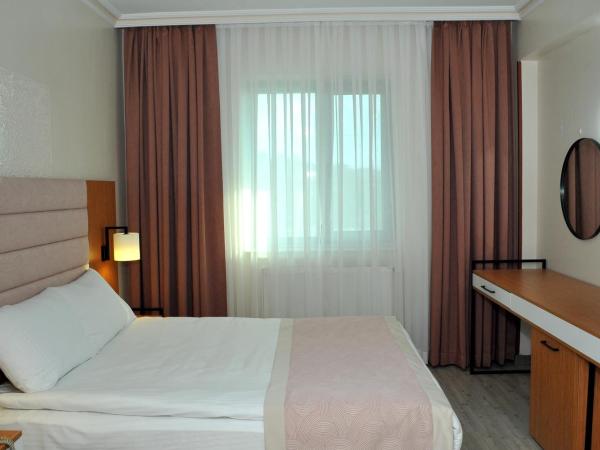 Lion City Hotel Ankara : photo 5 de la chambre chambre simple standard