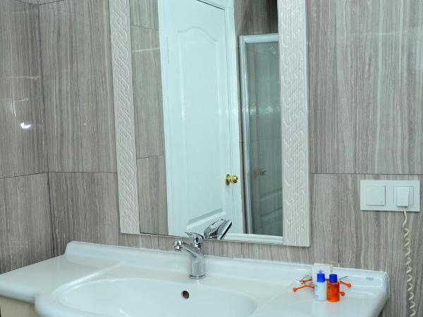 Lion City Hotel Ankara : photo 3 de la chambre chambre simple Économique