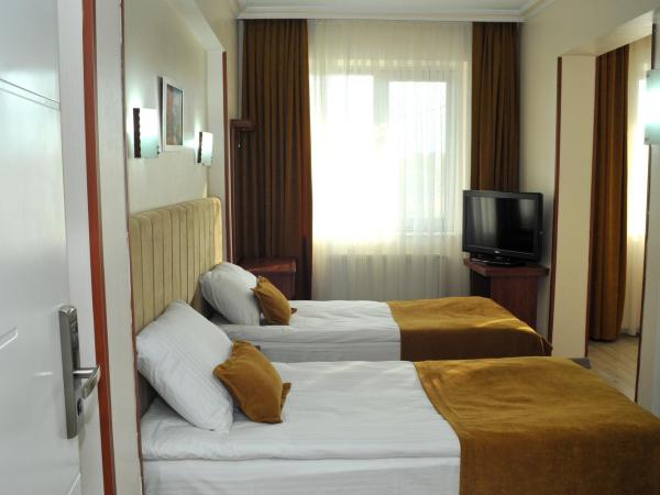 Lion City Hotel Ankara : photo 5 de la chambre chambre lits jumeaux Économique